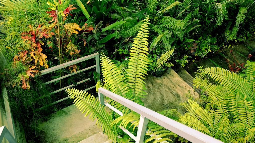 Villa Mariana Kochi エクステリア 写真